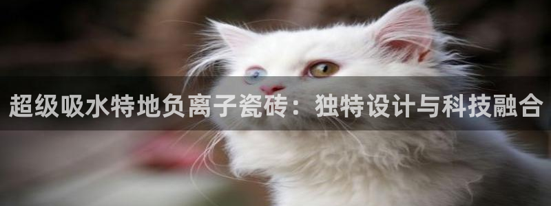 富联娱乐官方网站入口网址