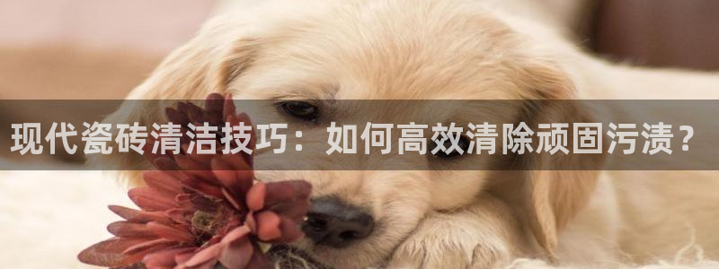富联娱乐忘记账号密码