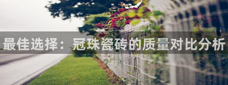 富联2娱乐元哥