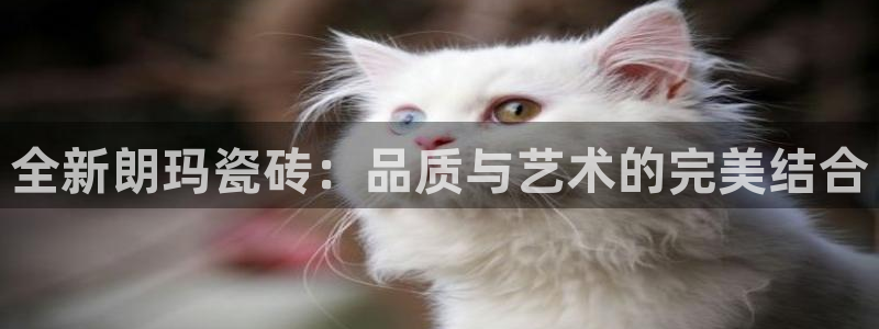 富联娱乐下载免费版官网