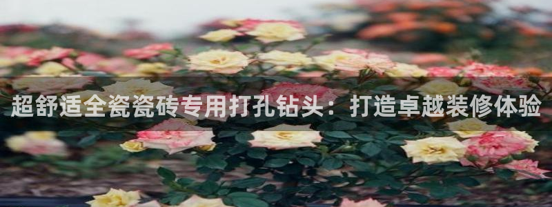 富联2娱乐首页官网