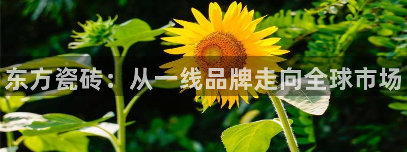 富联娱乐招商括判官333OO