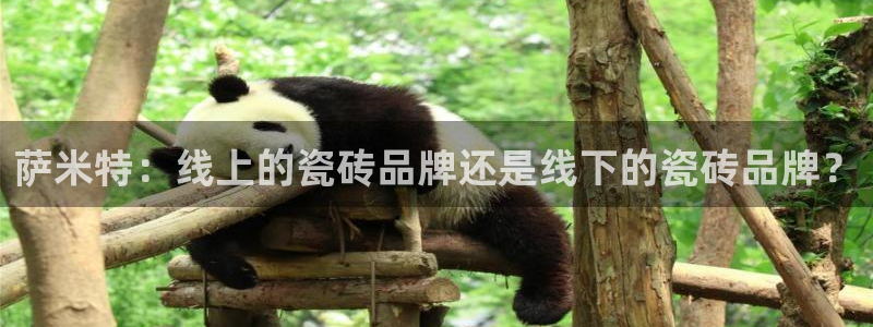 富联娱乐女团是谁的公司
