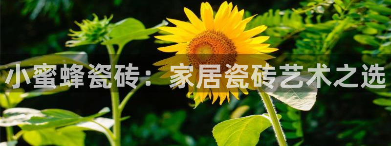 富联娱乐注册登录账号