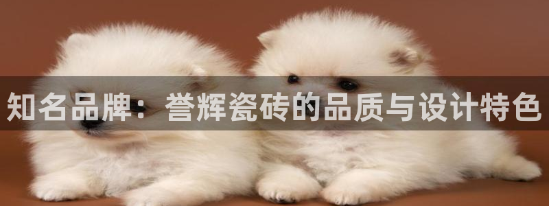 富联娱乐开户流程图片