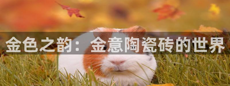 富联娱乐app