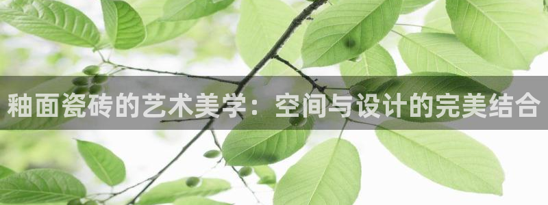 富联娱乐地址查询官网