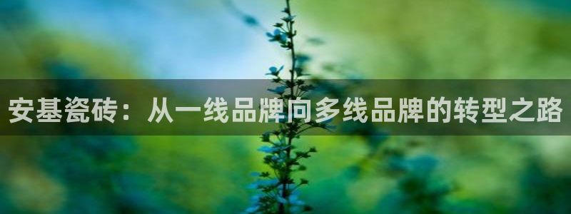 富联娱乐女团是谁的粉丝
