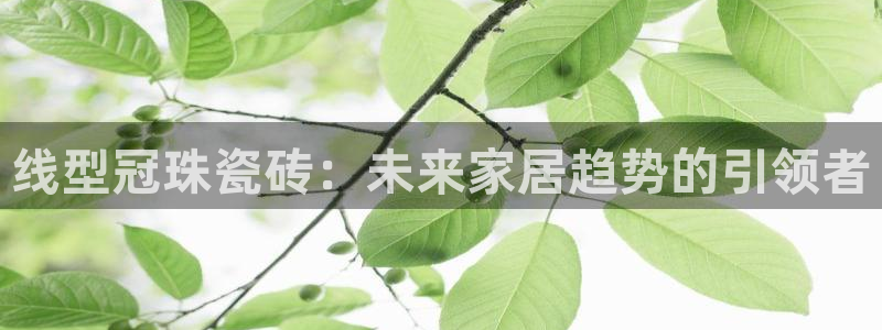 富联娱乐测速地址查询