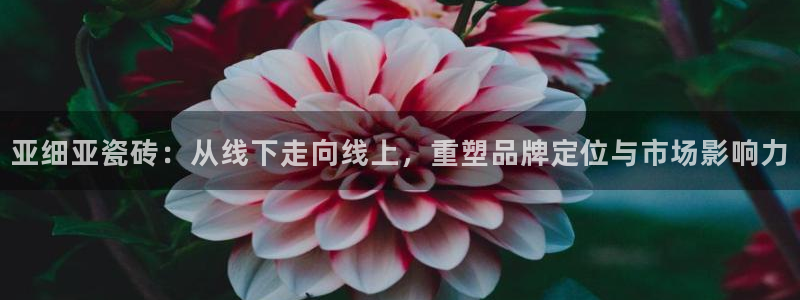 富联娱乐注册登录失败