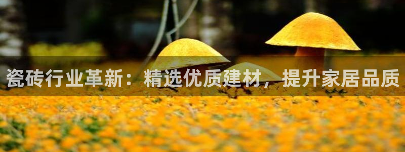 富联娱乐平台靠谱吗