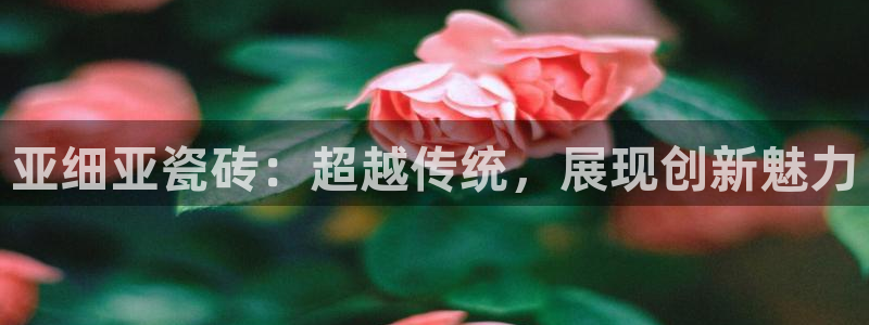 富联娱乐主管述判官333OO