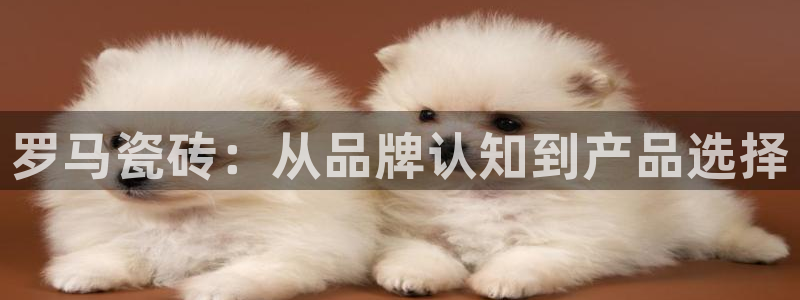 富联娱乐怎么样知乎推荐