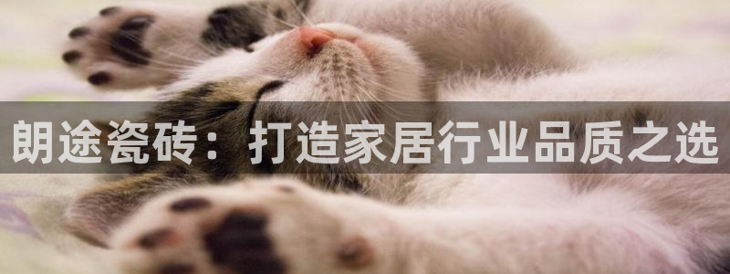 富联娱乐测速app