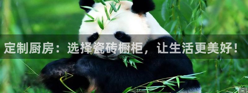 富联娱乐代理是谁做的呀