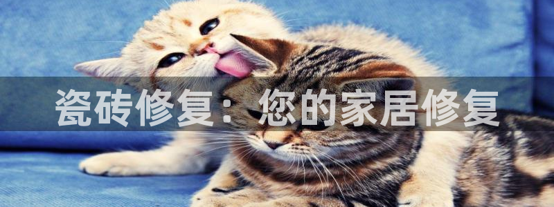 富联娱乐主管后原判官333OO