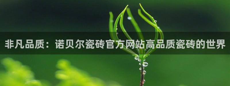 富联娱乐主营业务有哪些