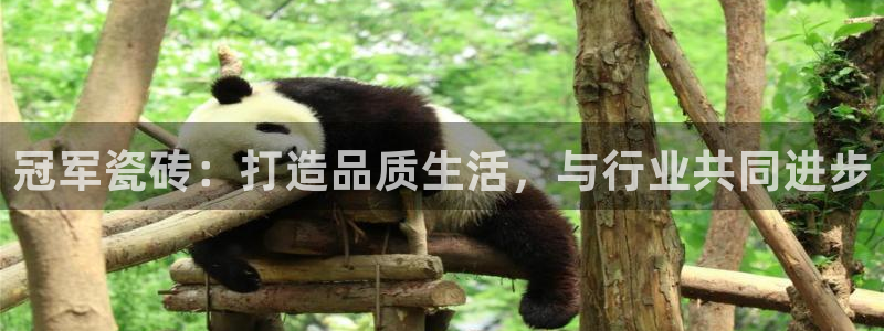 富联娱乐信誉怎么样