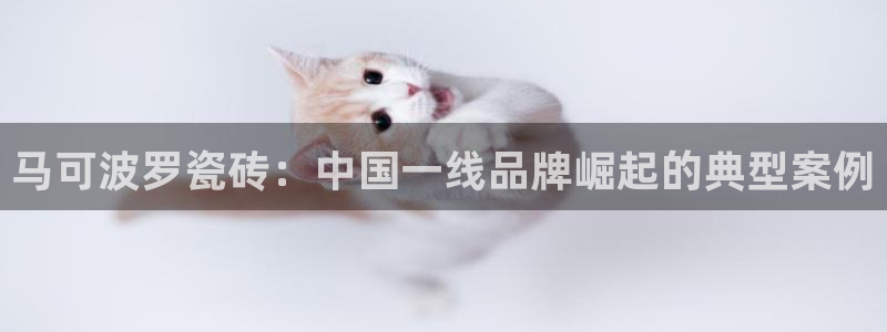 富联娱乐官方网站入口下载