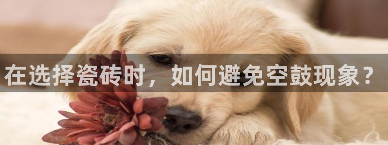 富联娱乐真的吗