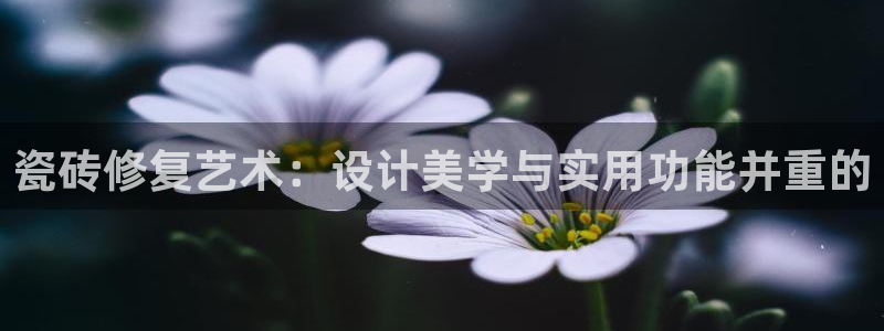 富联2娱乐元哥微博号