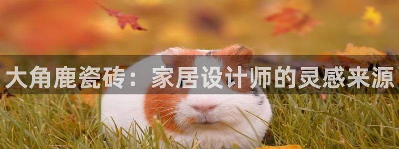 富联娱乐平台注册条件