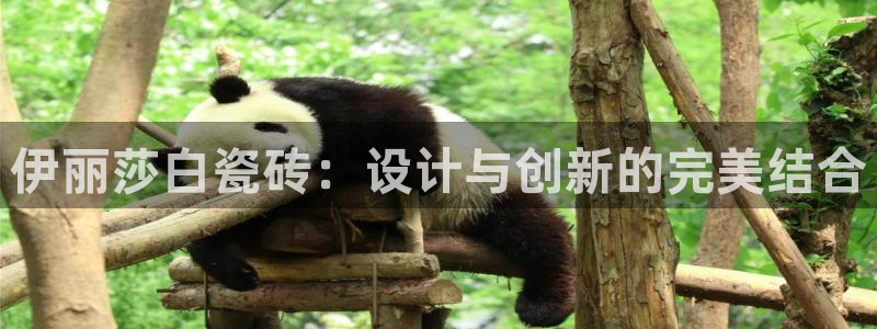 富联娱乐女团排名多少名