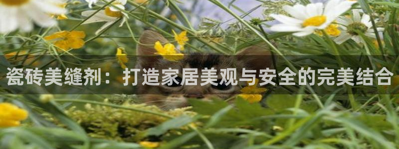 佰富联娱乐团购