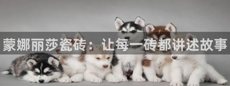 富联娱乐总代理电话地址