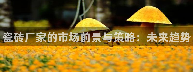 富联娱乐登录网址