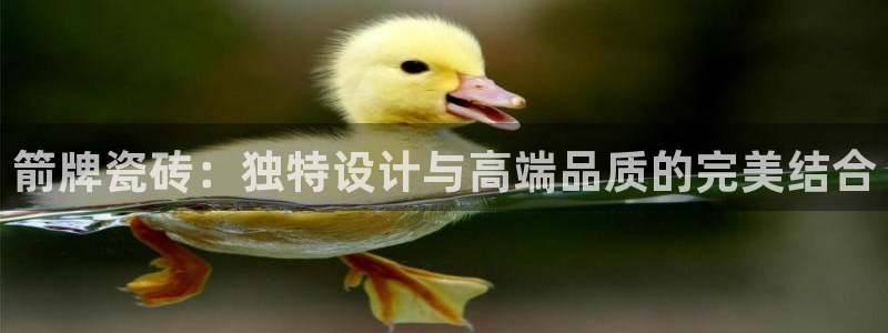 富联娱乐最厉害三个网站是什么