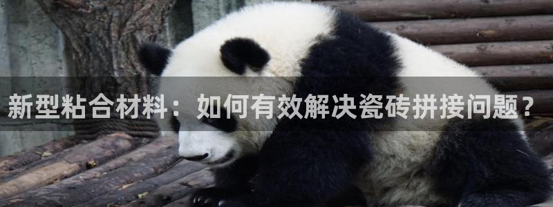 富联娱乐资讯官网下载