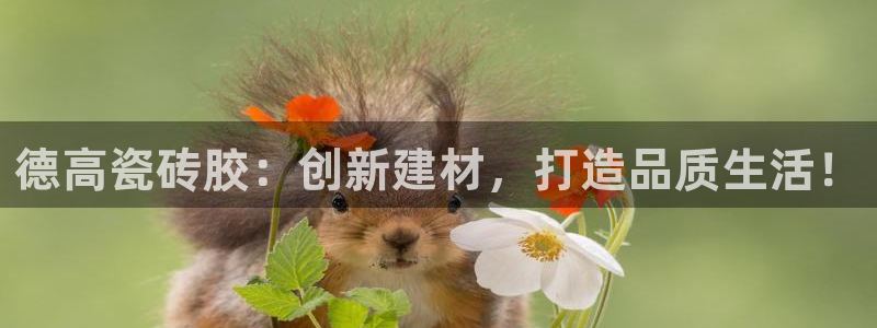 富联娱乐公司简介怎么写