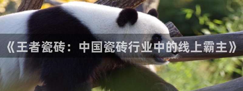 富联娱乐首页官网网址