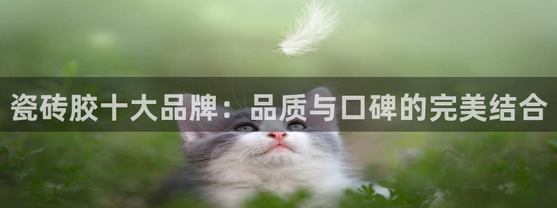 富联娱乐主营业务