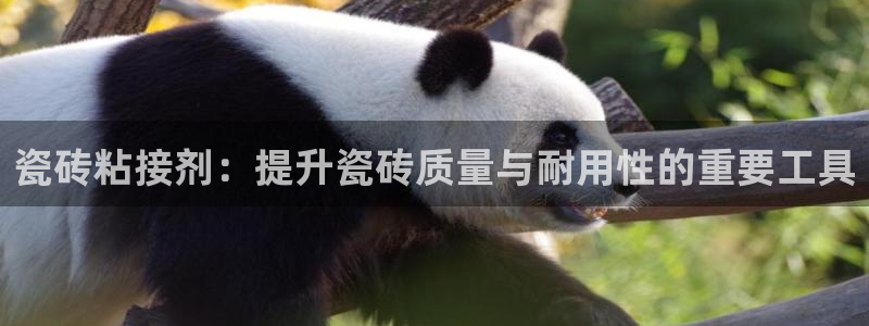 富联娱乐平台靠谱吗