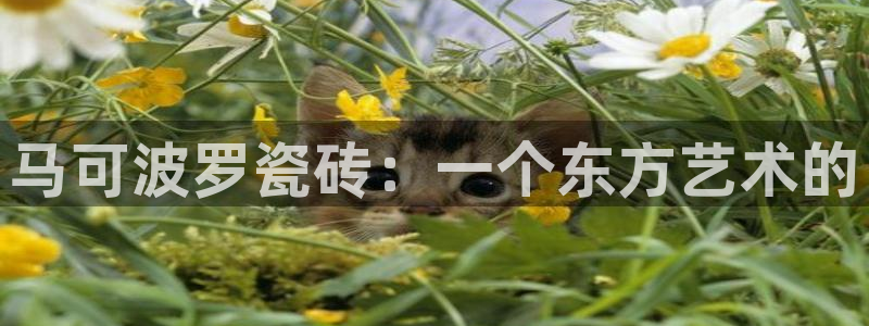 富联娱乐怎么样可靠吗