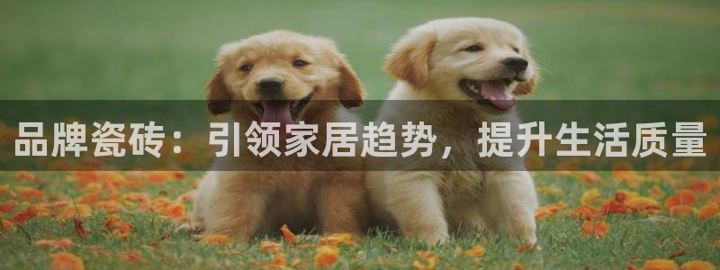 富联娱乐平台登录不了