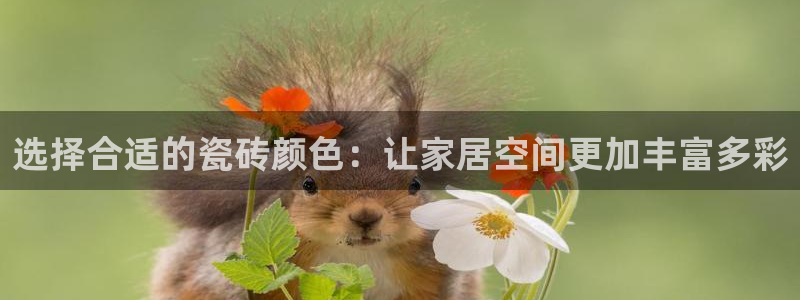 富联娱乐公司简介资料