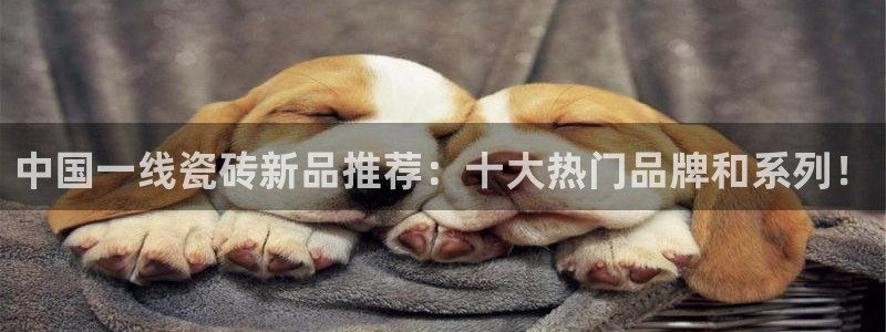 富联娱乐客户端官网