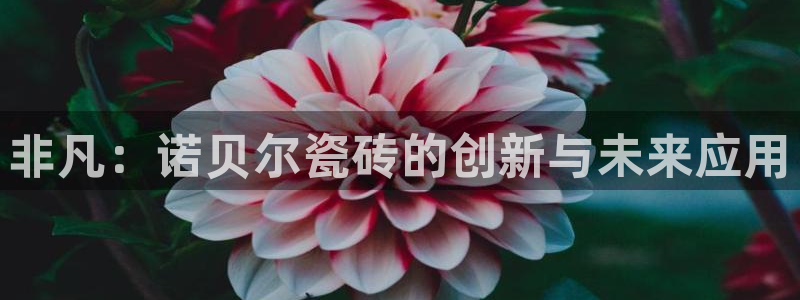 富联娱乐招商形判官333OO