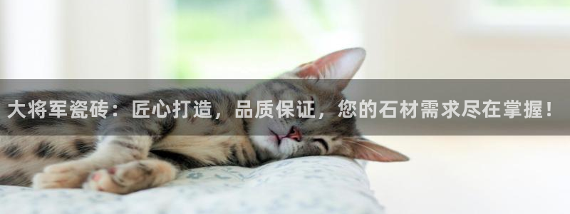 富联娱乐女团是谁的