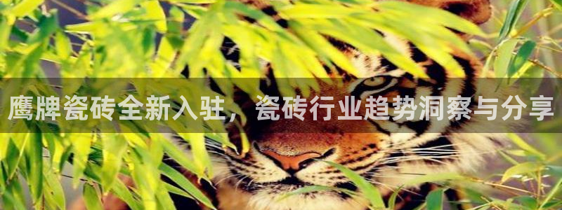 富联娱乐测速地址在哪