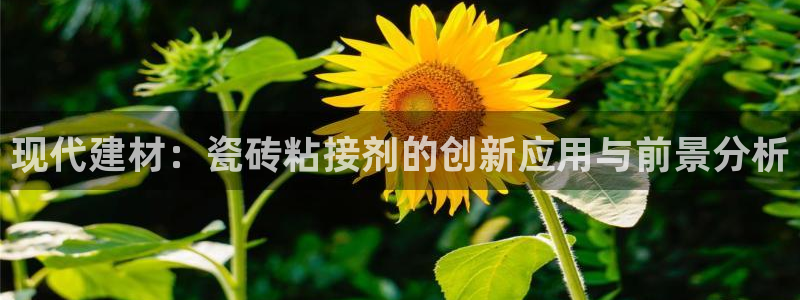 富联娱乐开户条件要求