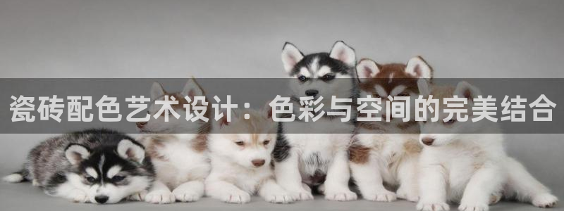 富联娱乐平台是什么