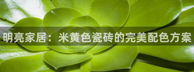 富联娱乐解究7276O