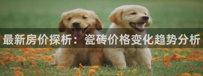 富联娱乐女团排名