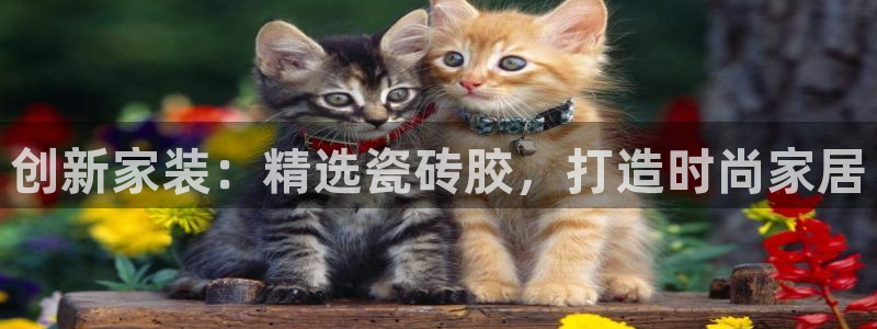 富联娱乐资讯官网