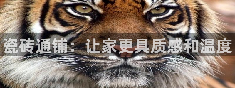 富联娱乐找qv382223